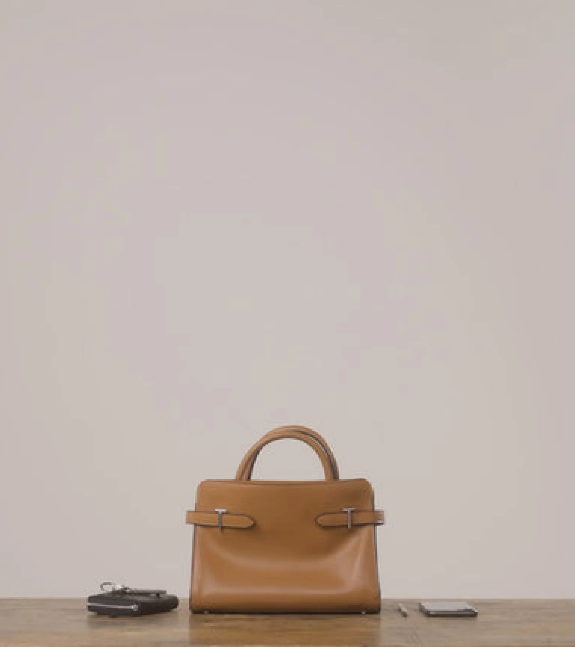 Sac à main moyen modèle Emie en cuir lisse et nubuck - TAN